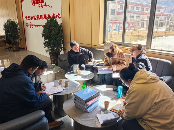 万博ManBetX我市开展农村集体“三资”管理专项督导检查