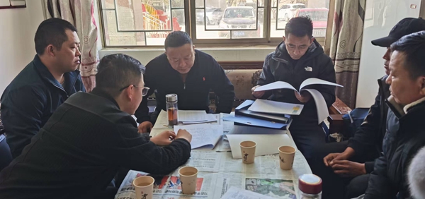 万博ManBetX我市开展农村集体“三资”管理专项督导检查(图2)